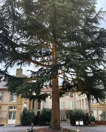 La Cour De La Tresorerie