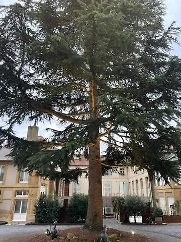 La Cour De La Tresorerie